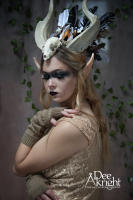 © Dee Akright Photographers